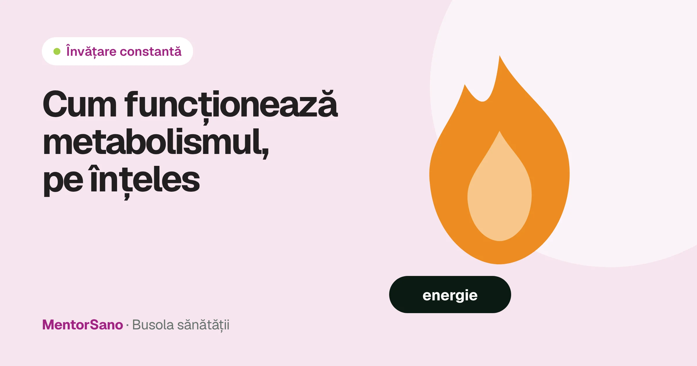 Cum funcționează metabolismul și ce poți schimba, de fapt