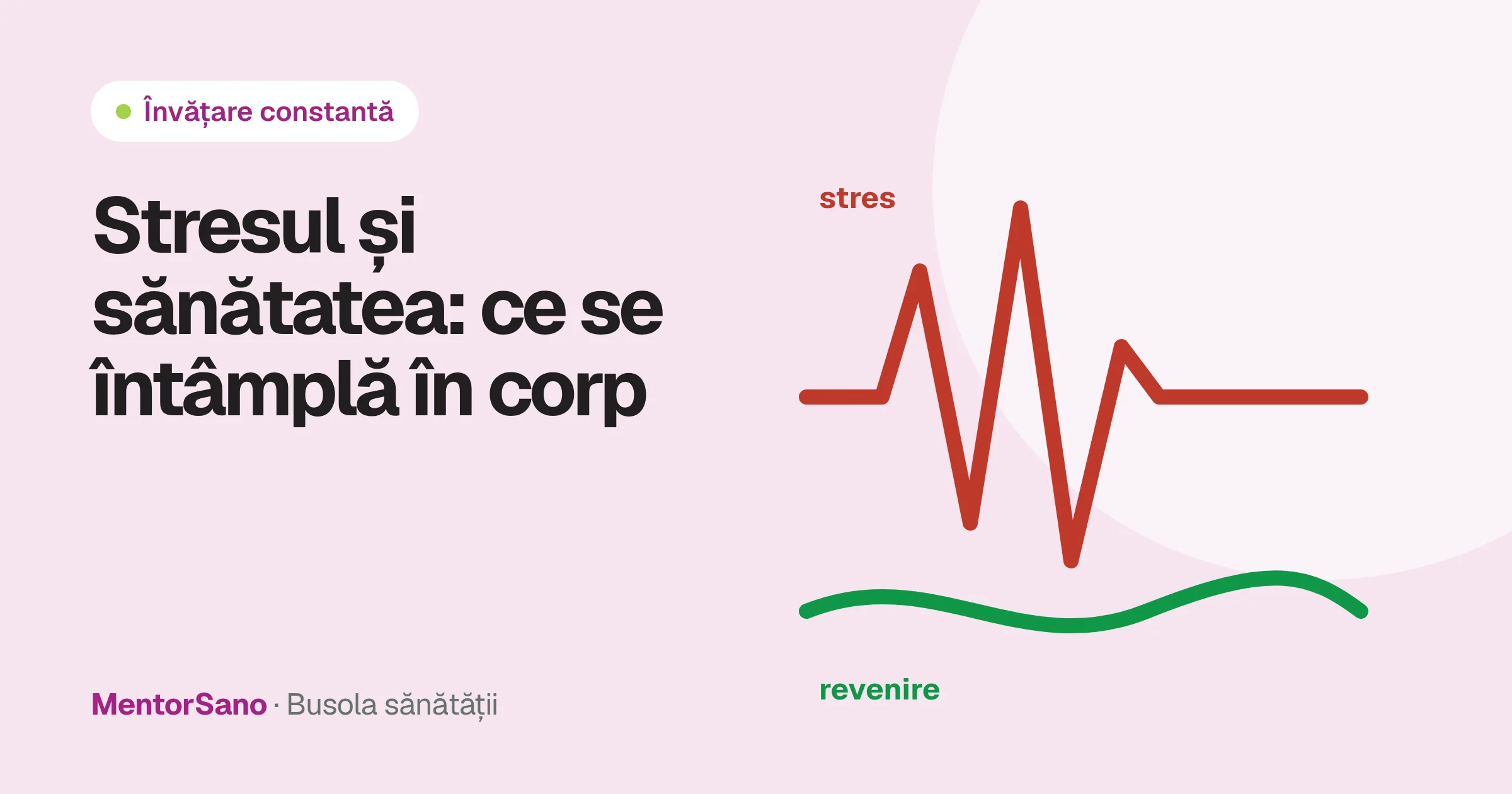Stresul și sănătatea: ce se întâmplă în corp și ce te ajută